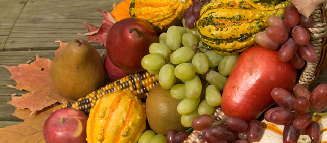 Thanksgiving harvest